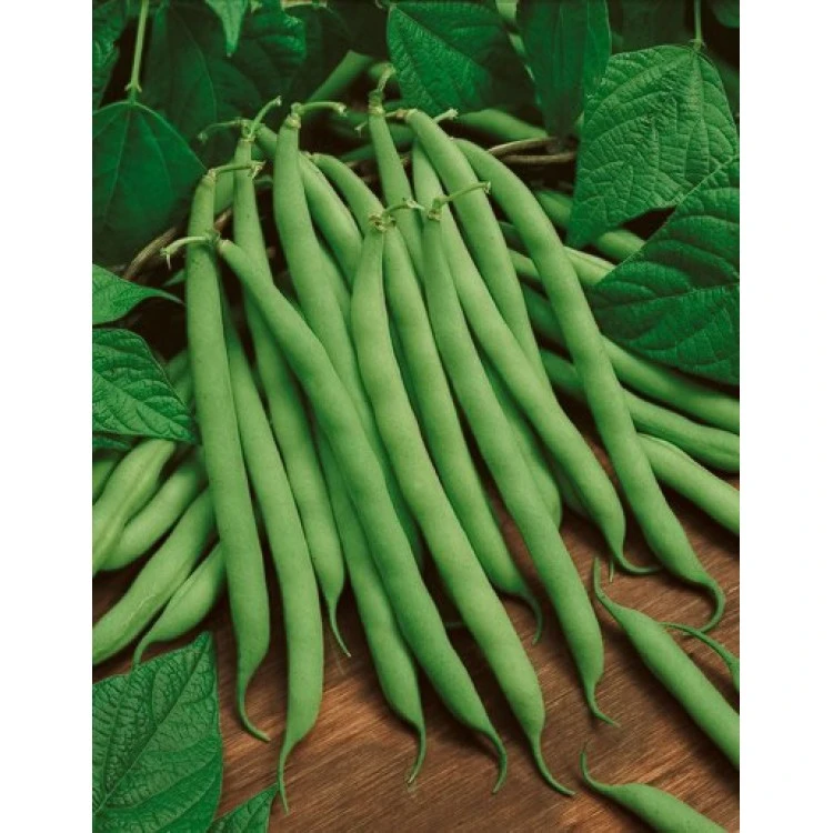 Gaziantep'deki tarım ürünleri nelerdir?