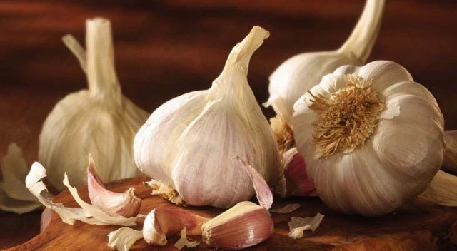 Gaziantep'deki tarım ürünleri nelerdir?