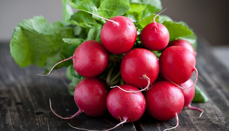 Gaziantep'deki tarım ürünleri nelerdir?