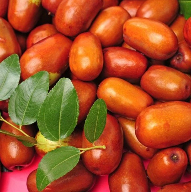 Sonbaharda hangi besinleri tüketmeliyiz?