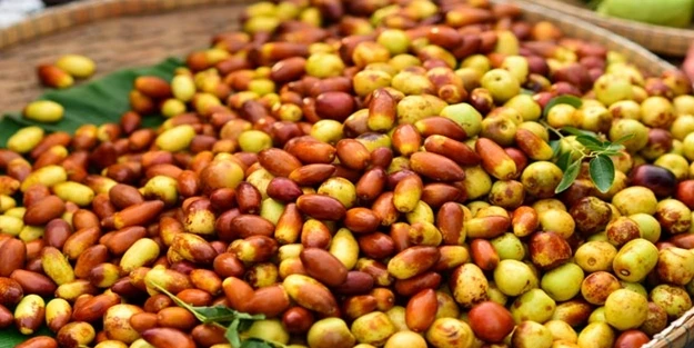 Sonbaharda hangi besinleri tüketmeliyiz?