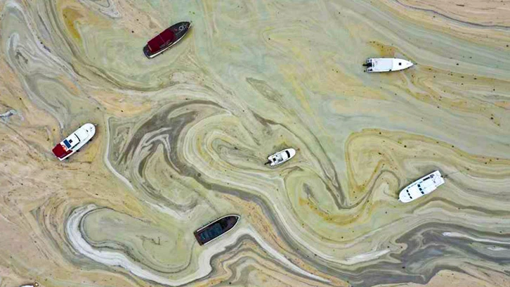  İşte 2021'e damga vuran fotoğraflar!