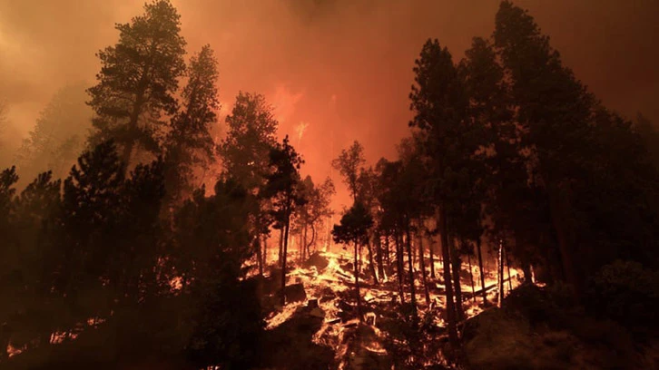  İşte 2021'e damga vuran fotoğraflar!