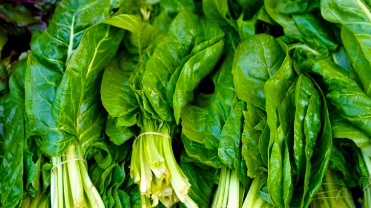 Bin çeşit gıda arasından seçildiler! İşte en besleyici gıdalar...