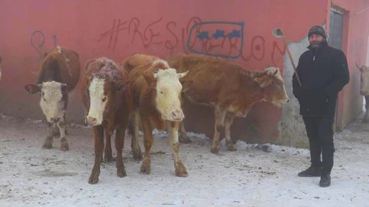 Türkiye'nin buz tutan illeri! -26 dereceyi gördü...