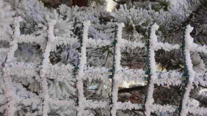 Türkiye'nin buz tutan illeri! -26 dereceyi gördü...