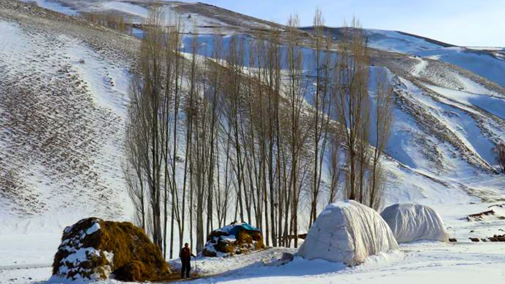Türkiye'nin buz tutan illeri! -26 dereceyi gördü...