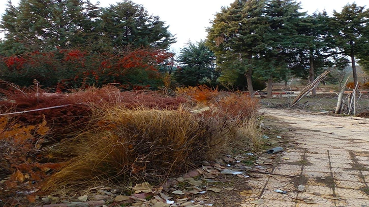 Gaziantepspor Tesisleri, eli balyozlu işçiler tarafından yıkılmaya başladı