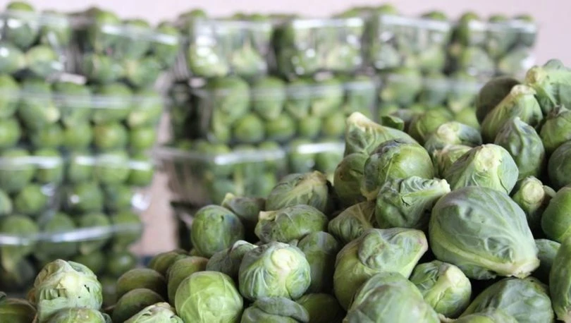 Kış Meyve ve Sebzeleri: Bu Kış Evinizden Eksik Etmeyin