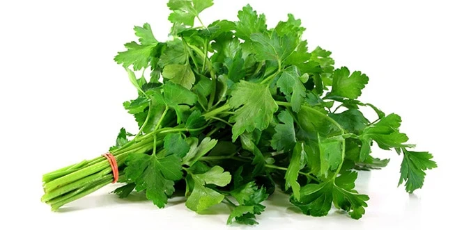 Kış Meyve ve Sebzeleri: Bu Kış Evinizden Eksik Etmeyin