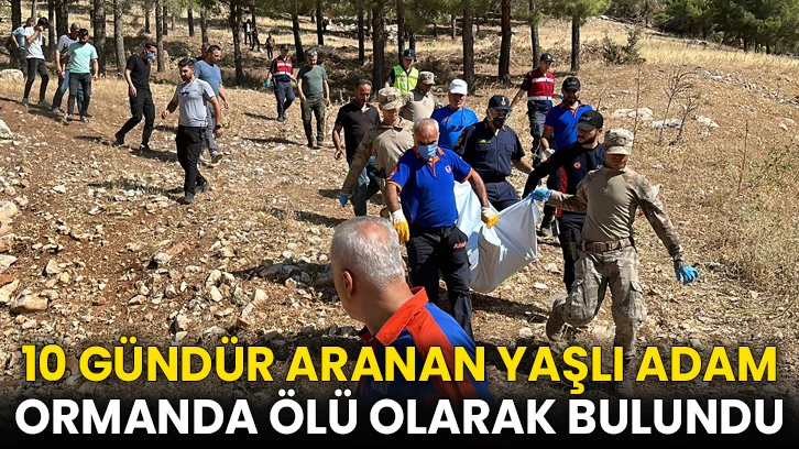 10 Gündür Aranan Yaşlı Adam Ormanda Ölü Olarak Bulundu