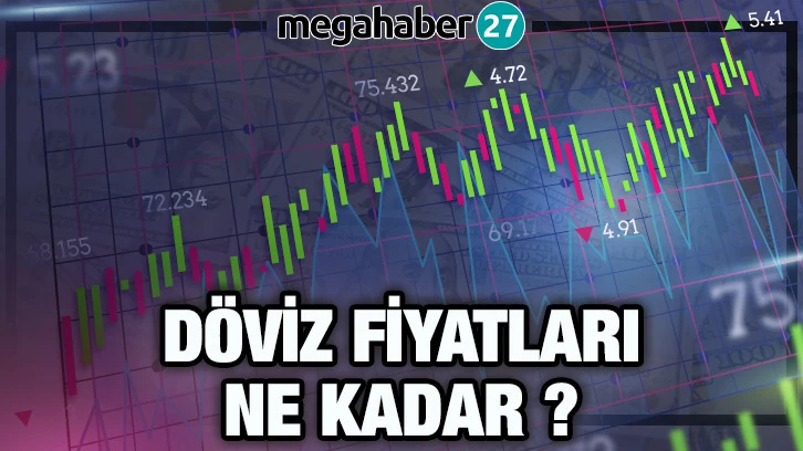 11 Mayıs 2024 Türkiye'de döviz fiyatları!