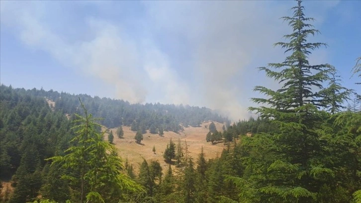 Adana'da çıkan orman yangınına müdahale ediliyor