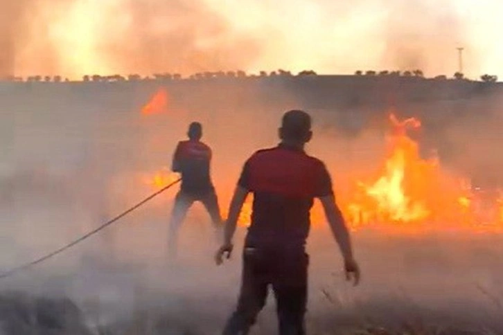 Adıyaman'da buğday tarlası yandı