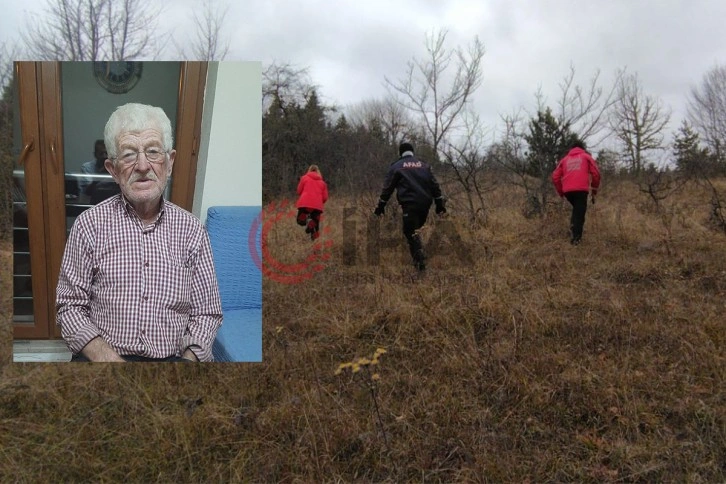 Ağaç kesmek için ormana giden 83 yaşındaki adam kayboldu