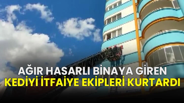 Ağır Hasarlı Binaya Giren Kediyi İtfaiye Ekipleri Kurtardı