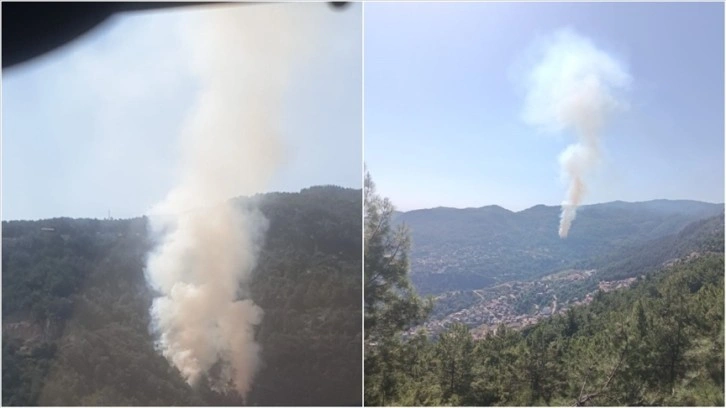 Alanya'da çıkan orman yangınına havadan ve karadan müdahale ediliyor