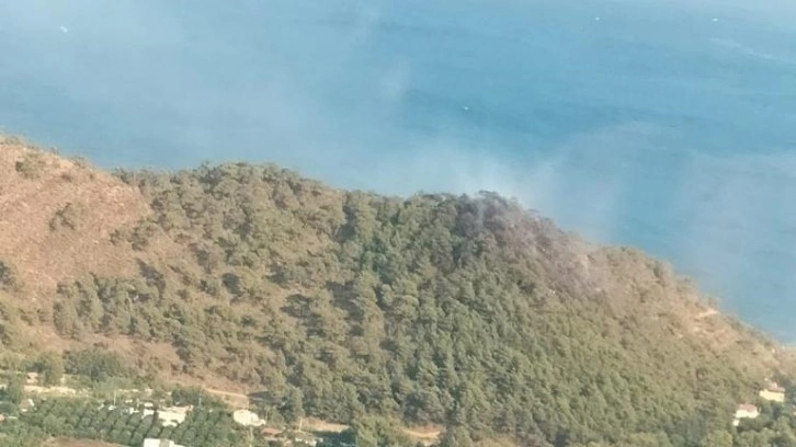 Antalya'da Adrasan Sahili'ne yakın bölgede çıkan orman yangını kontrol altına alındı