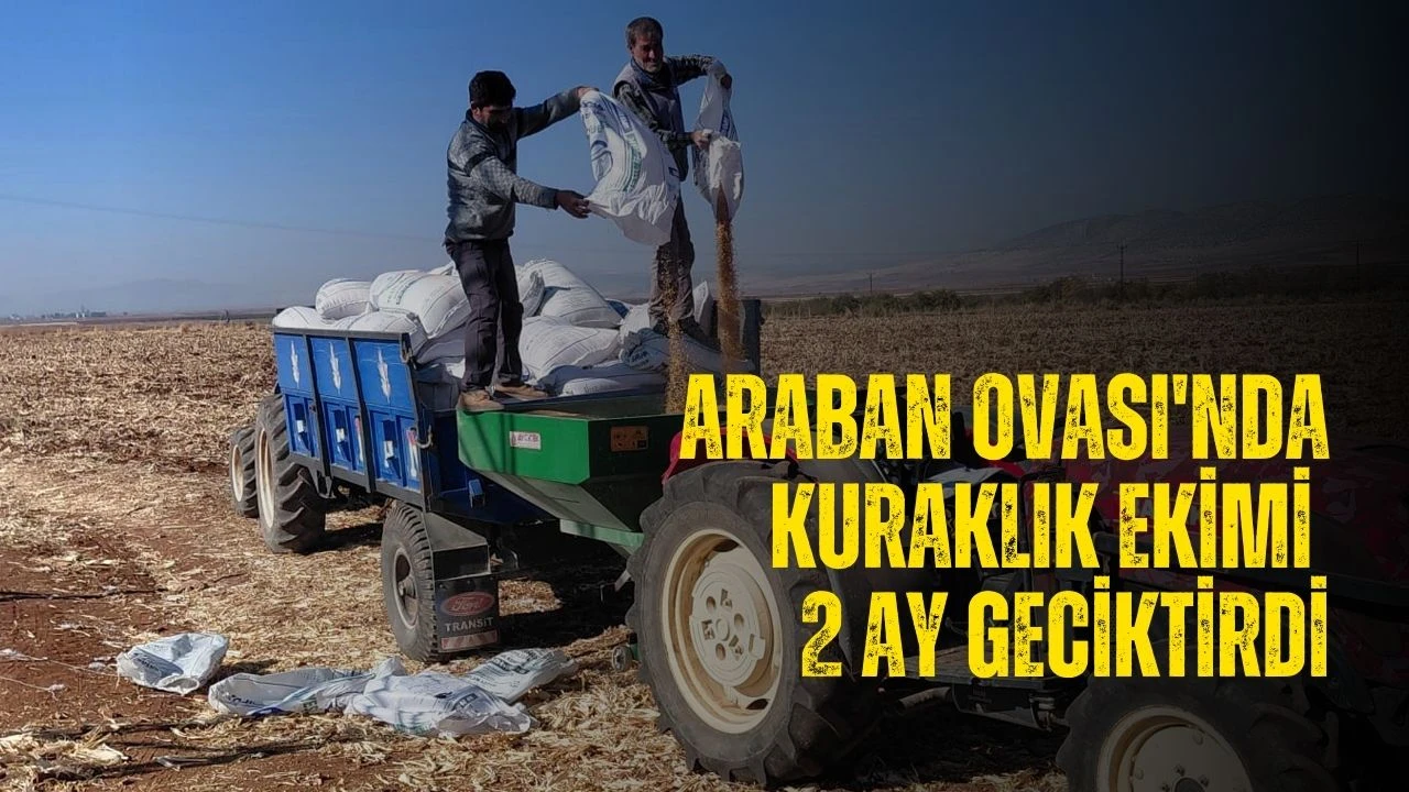 Araban Ovası'nda kuraklık ekimi 2 ay geciktirdi