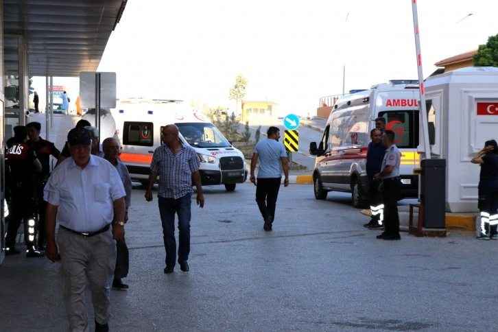 Arı sokmasına bağlı ciddi alerjik reaksiyonlar ölüme sebep olabilir