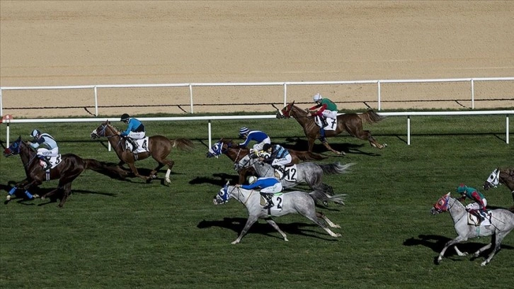 At yarışlarında TBMM Koşusu, Cumartesi günü Ankara'da yapılacak