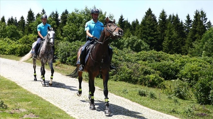 Atlı jandarma timi 1700 rakımlı yaylada görev yapıyor