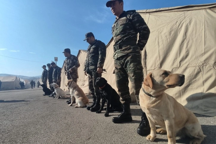 Azerbaycan'ın arama kurtarma köpekleri deprem bölgesinde