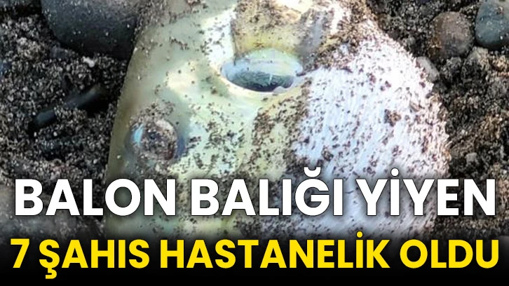 Balon balığı yiyen 7 şahıs hastanelik oldu
