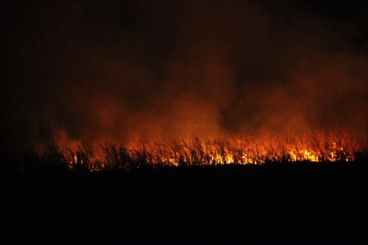 Beyşehir Gölü Milli Parkı’ndaki sazlık yangını kontrol altına alındı