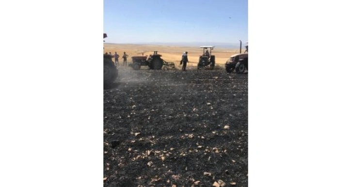 Biçerdöverden çıkan yangın 100 dönümlük buğday tarlasını küle çevirdi