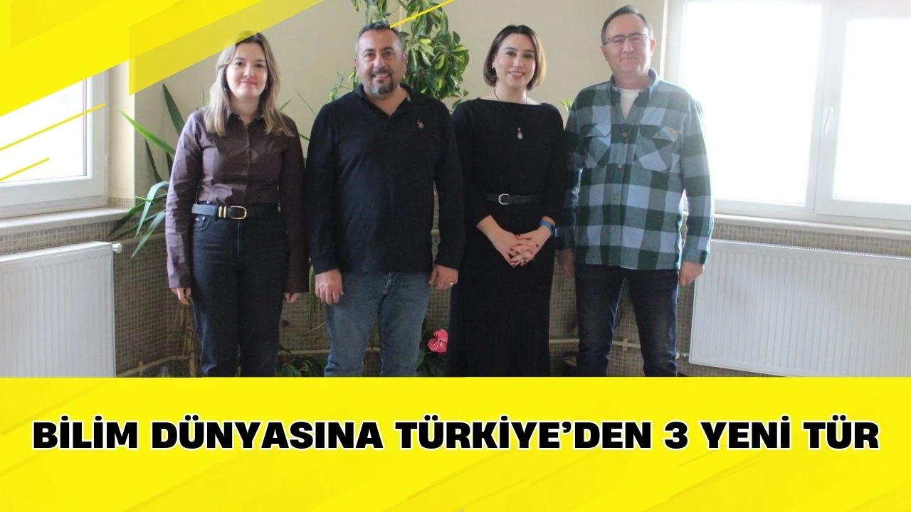 Bilim D&uuml;nyasına T&uuml;rkiye&rsquo;den 3 Yeni T&uuml;r