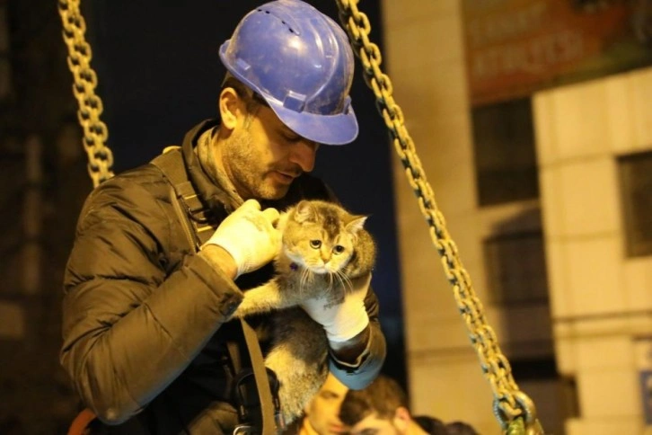 Bina enkazının yıkımı durduruldu, 'Zena' isimli kedi kurtarıldı