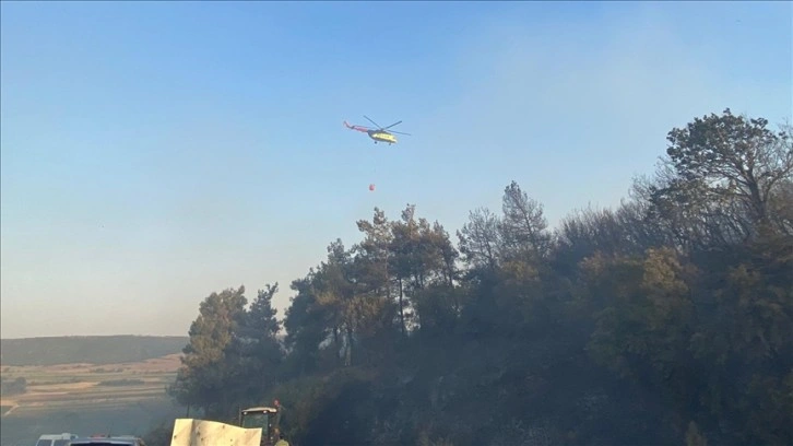 Bursa'da çıkan orman yangınına müdahale ediliyor