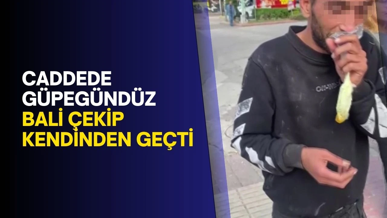Caddede güpegündüz bali çekip kendinden geçti