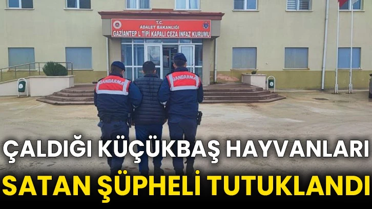 Çaldığı küçükbaş hayvanları satan şüpheli tutuklandı