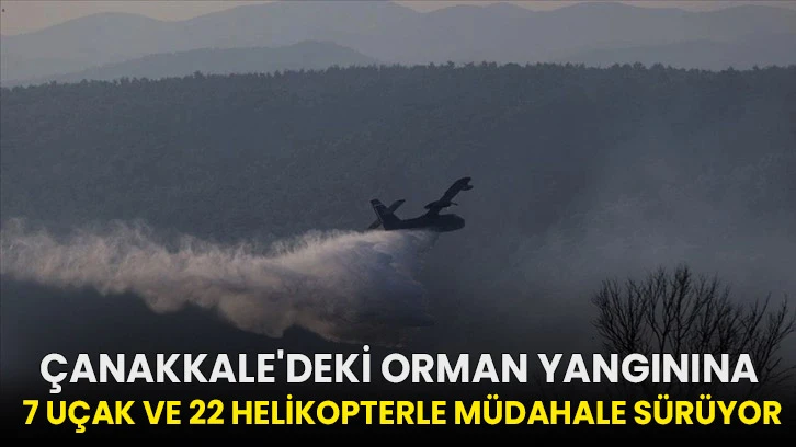 Çanakkale'deki orman yangınına 7 uçak ve 22 helikopterle müdahale sürüyor!
