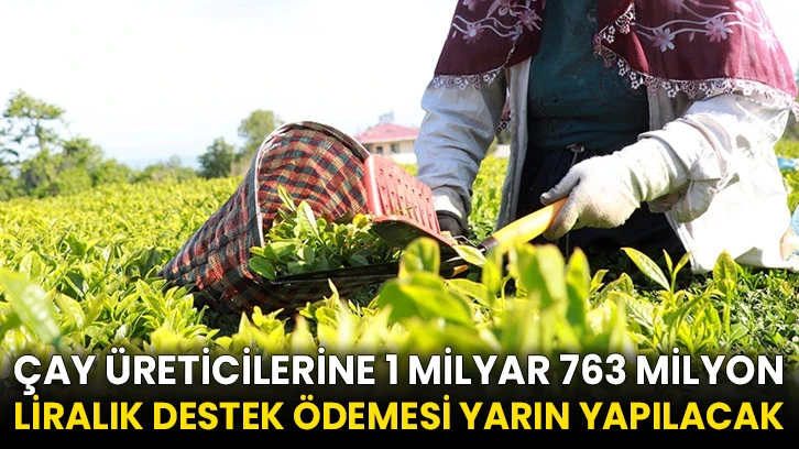 Çay üreticilerine 1 milyar 763 milyon liralık destek ödemesi yarın yapılacak