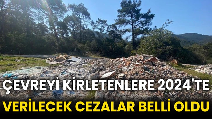 Çevreyi kirletenlere 2024'te verilecek cezalar belli oldu
