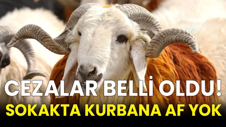 Cezalar belli oldu! Sokakta kurbana af yok