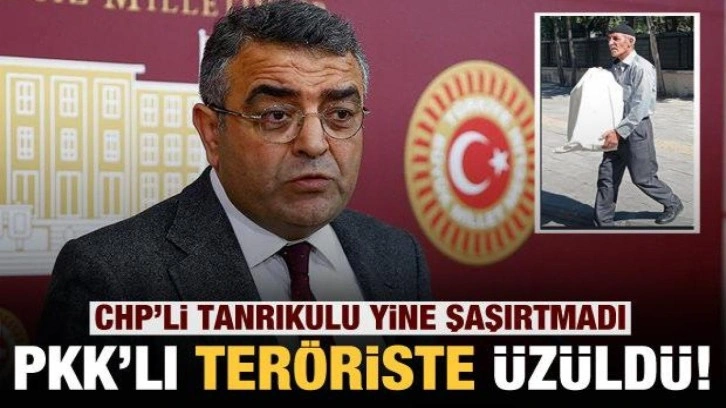 CHP'li Tanrıkulu yine şaşırtmadı! PKK'lı teröriste üzüldü