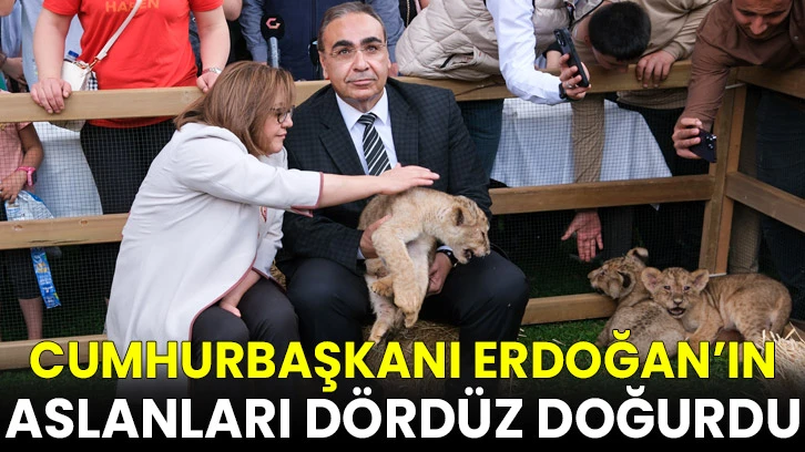 Cumhurbaşkanı Erdoğan’a dördüz sürprizi