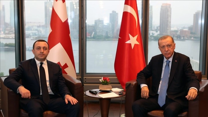 Cumhurbaşkanı Erdoğan, Gürcistan Başbakanı İrakli Garibaşvili'yi kabul etti