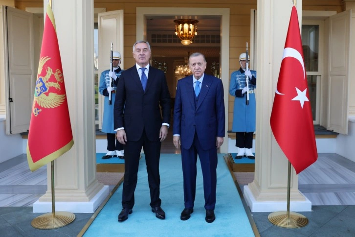 Cumhurbaşkanı Erdoğan, Karadağ Cumhurbaşkanı Cukanoviç görüştü
