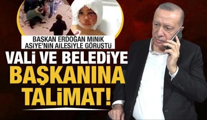 Cumhurbaşkanı Erdoğan, pitbull saldırısına uğrayan Asiye'nin babasıyla görüştü