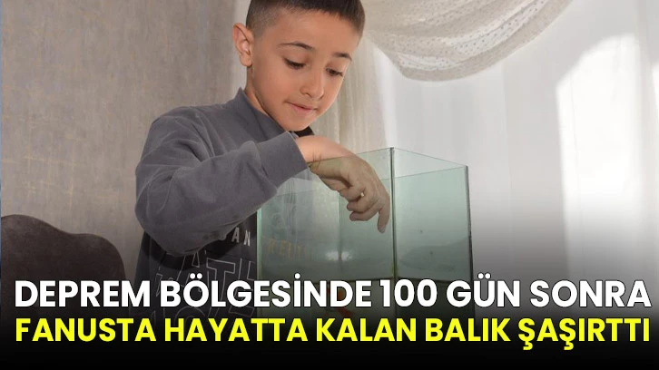 Deprem bölgesinde 100 gün sonra fanusta hayatta kalan balık şaşırttı