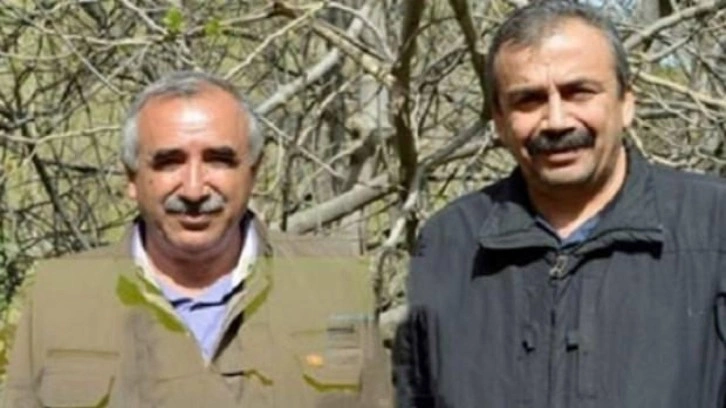 Devleti hedef aldı, cezası belli oldu! HDP'li Önder'e hapis