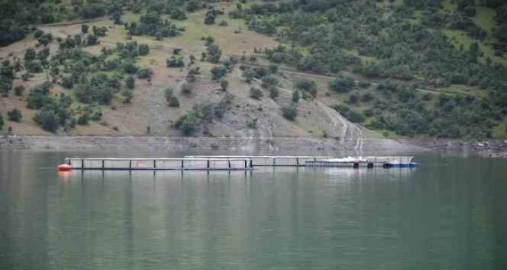 Devletin projeleriyle Şırnak’ta balık hasadı yapılıyor