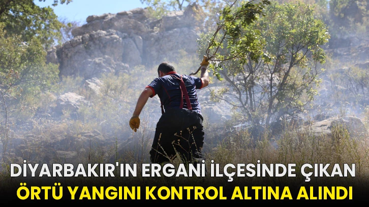Diyarbakır'ın Ergani ilçesinde çıkan örtü yangını kontrol altına alındı!