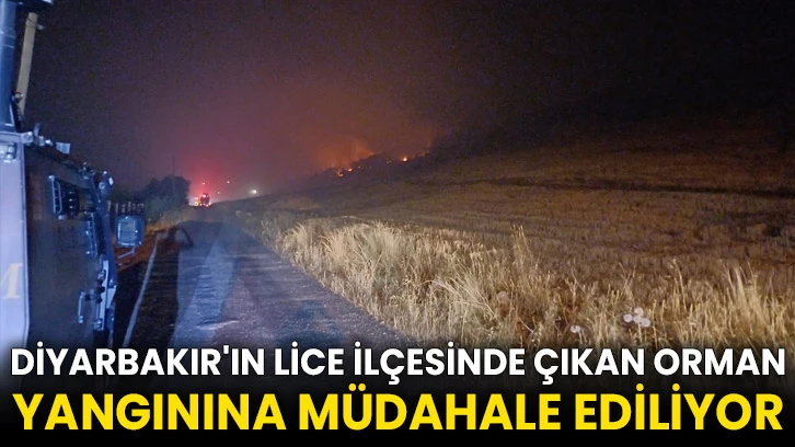 Diyarbakır'ın Lice ilçesinde çıkan orman yangınına müdahale ediliyor