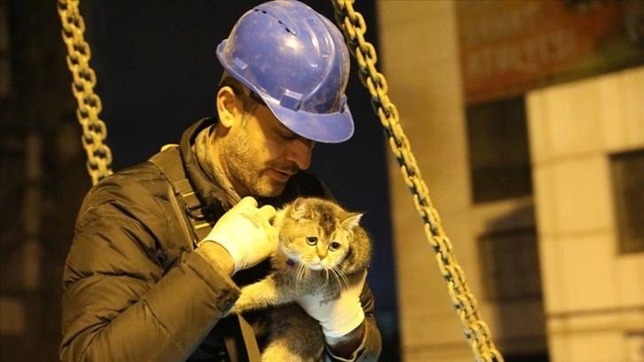 Diyarbakır'da ağır hasarlı siteden kurtarılan 2 kedi sahiplerine teslim edildi